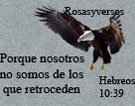 Avatar de Usuario
