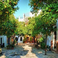 Barrio-de-Santa-Cruz (1).jpg