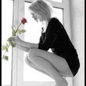 559cbb7572c8bs10671_s.jpg