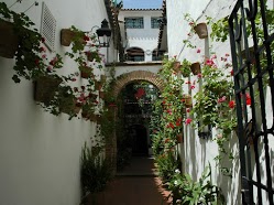 barrio sta cuz calle.jpg
